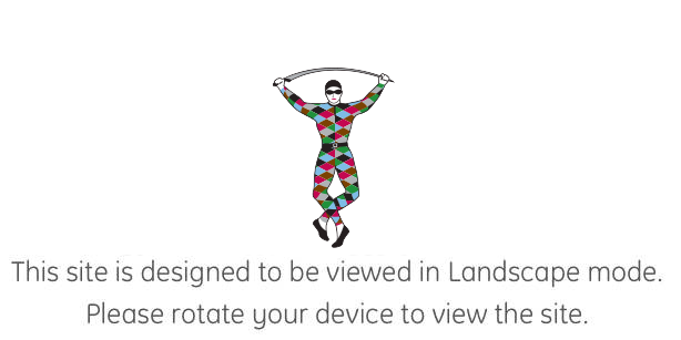 Landscape is the valid orientation